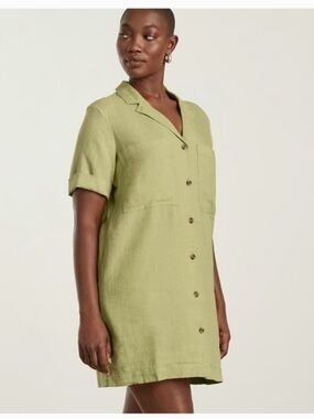 Everlane mini oversized linen shirt dress in leek